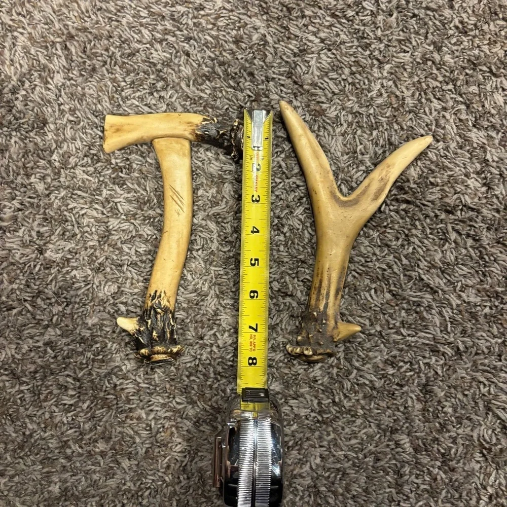 Decorative Antler Shaped Letters